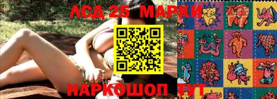 прущие крисы Тара