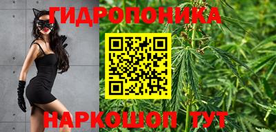 прущие крисы Тара
