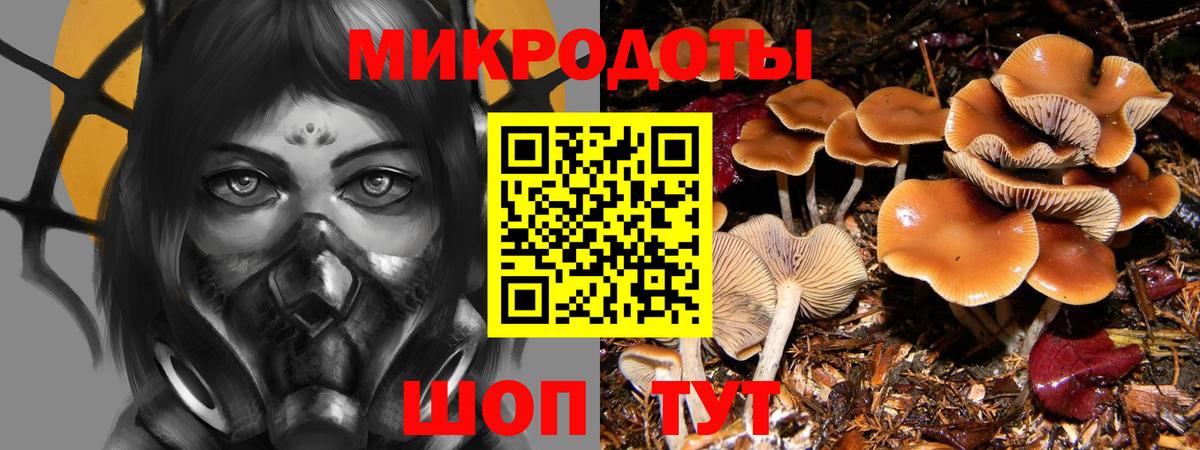 Псилоцибиновые грибы Cubensis  Галлюциногенные грибы MAGIC MUSHROOMS  Новочеркасск  Вход с VPN 